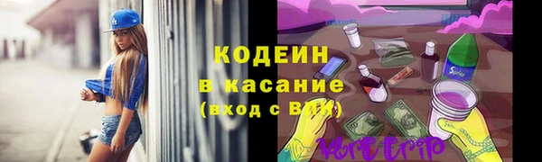 спайс Богданович